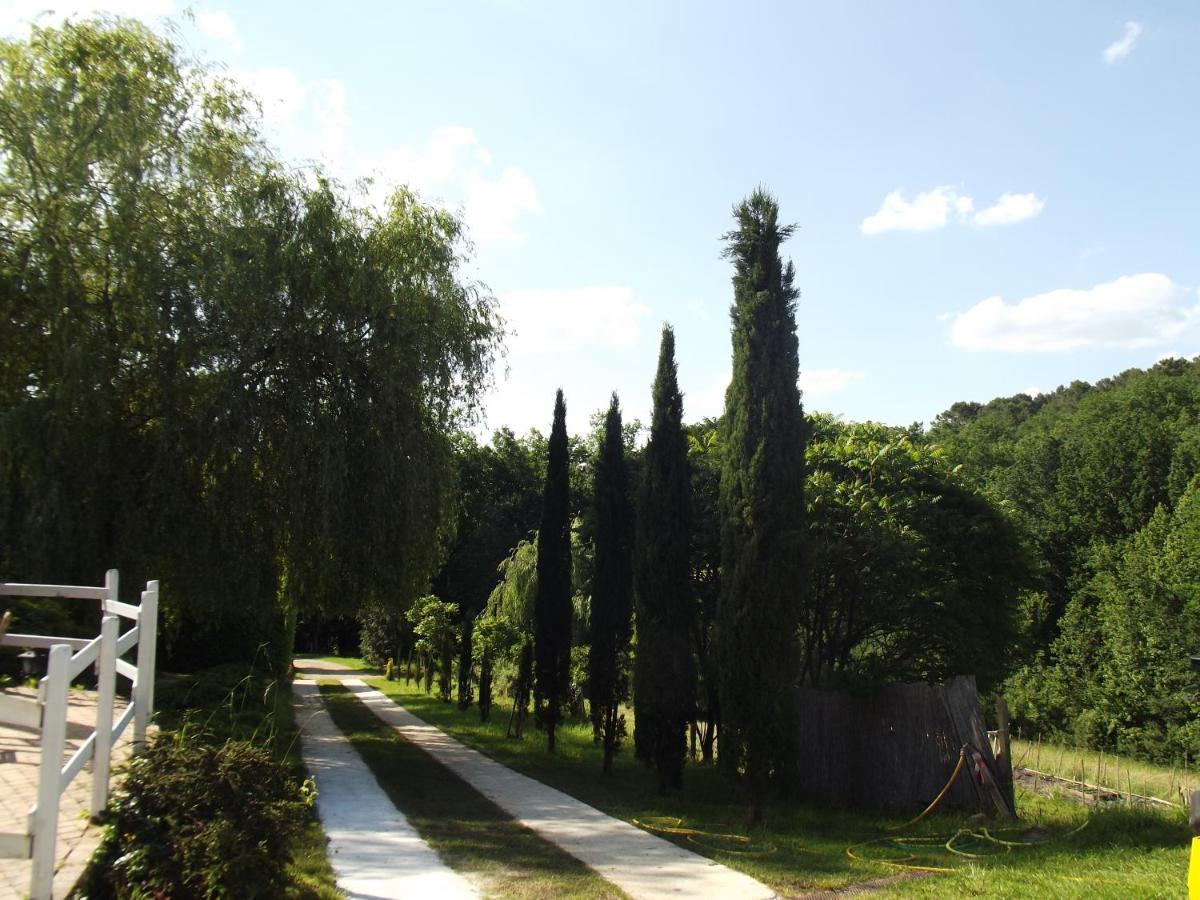 Bed and Breakfast Les Rocailles De La Reine Lamonzie-Montastruc Exterior foto